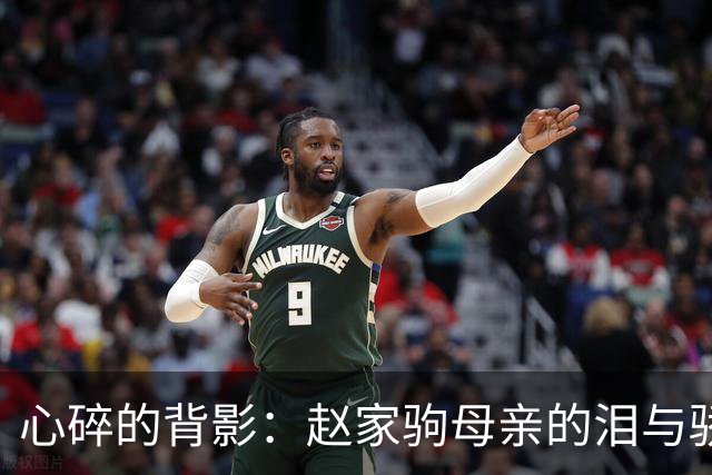 心碎的背影：赵家驹母亲的泪与骄傲